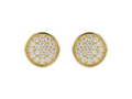The Golden Sunburst Studs