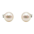 The Pure Radiance Pearls